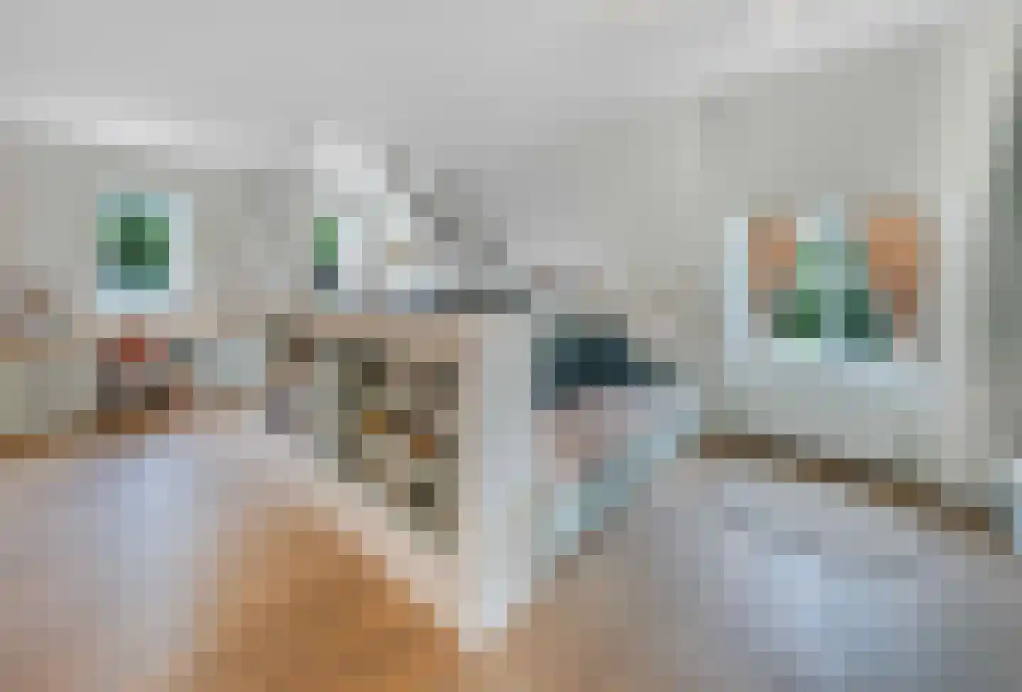 Raadsteeg 8 Rumpt thumbnail 41