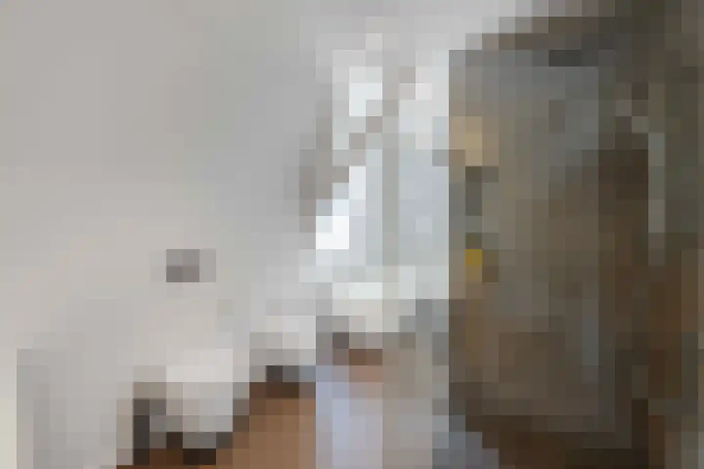 Raadsteeg 8 Rumpt thumbnail 42