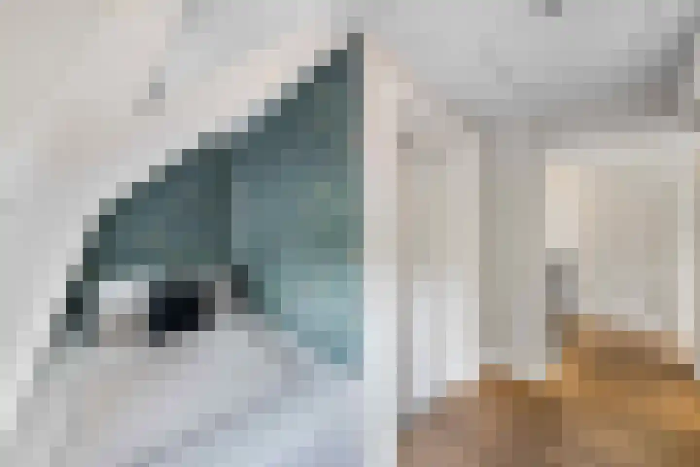 Raadsteeg 8 Rumpt thumbnail 44