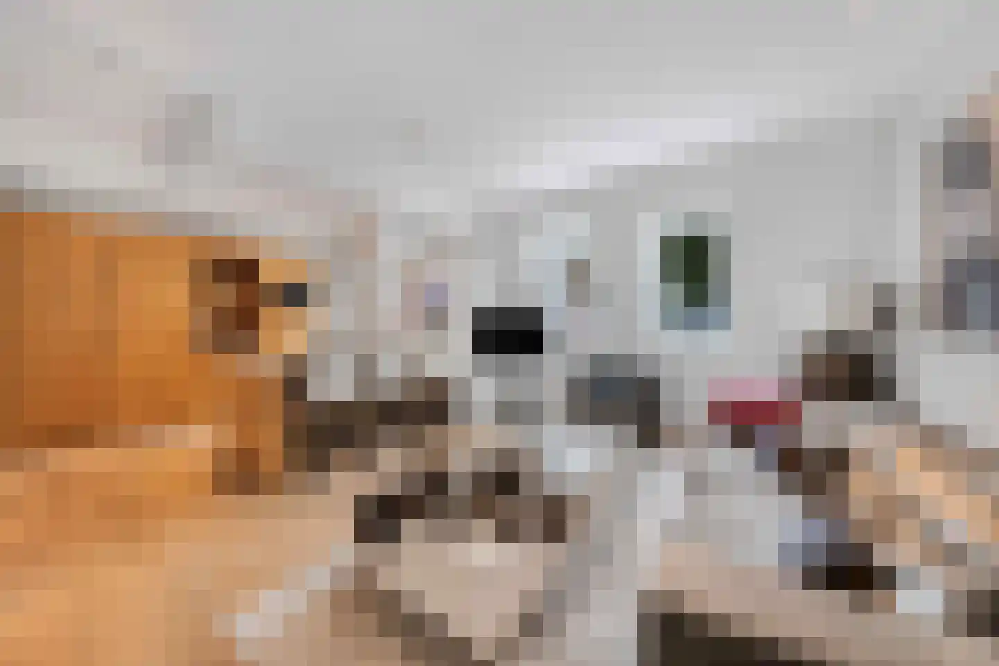 Raadsteeg 8 Rumpt thumbnail 48