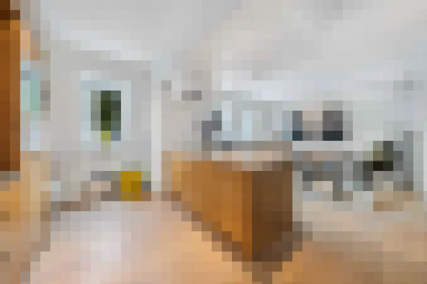 Raadsteeg 8 Rumpt thumbnail 49