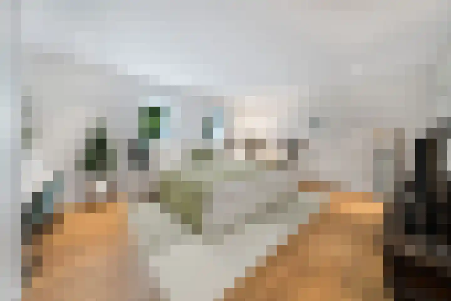 Raadsteeg 8 Rumpt thumbnail 50