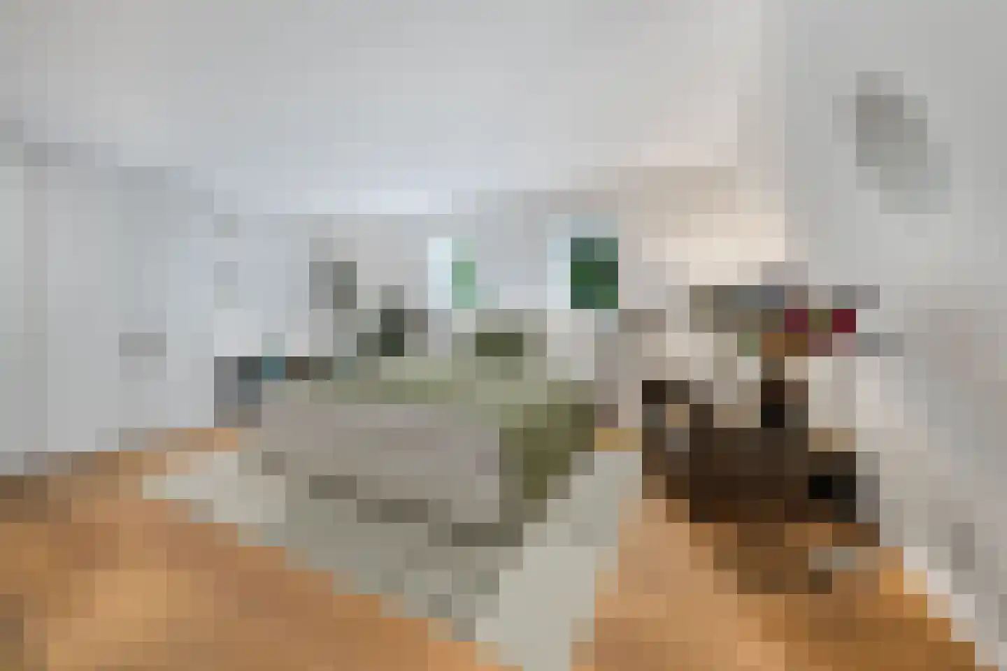 Raadsteeg 8 Rumpt thumbnail 51