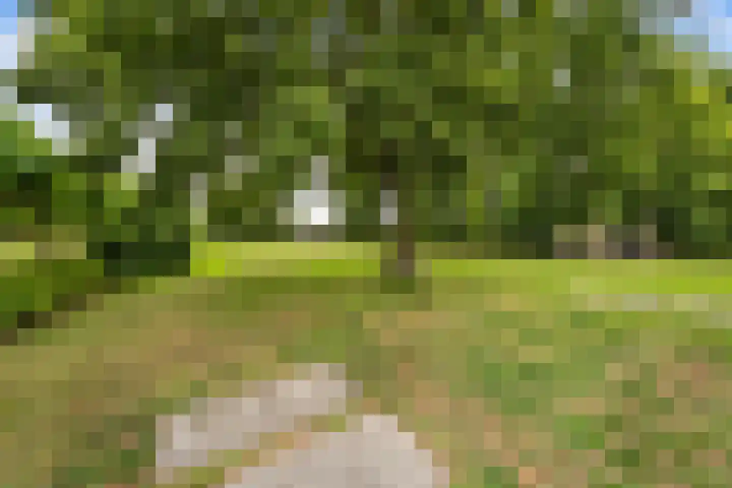 Raadsteeg 8 Rumpt thumbnail 54