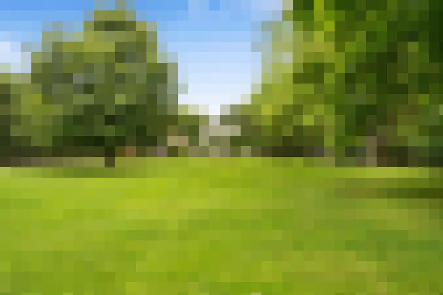 Raadsteeg 8 Rumpt thumbnail 56