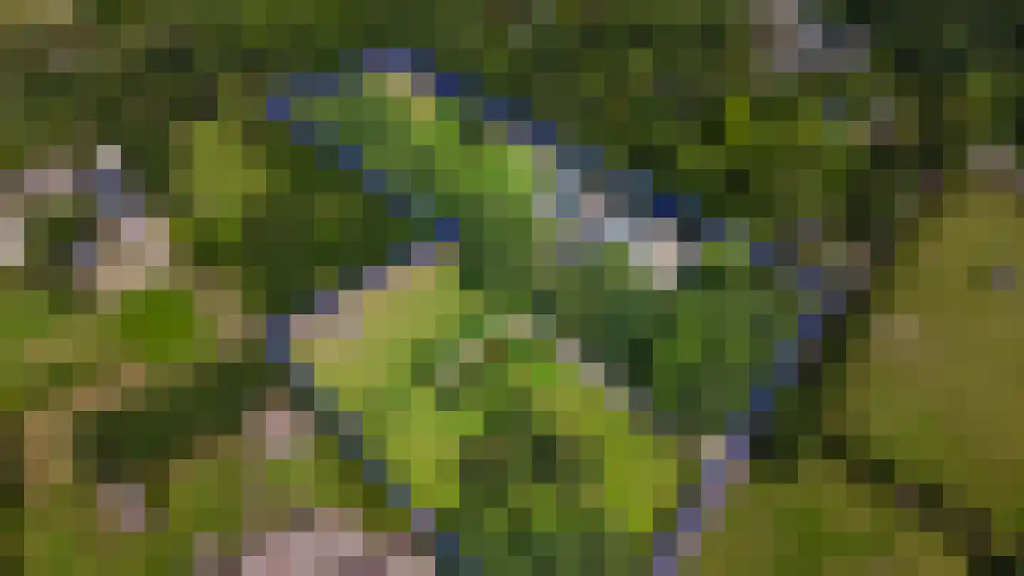 Raadsteeg 8 Rumpt thumbnail 57