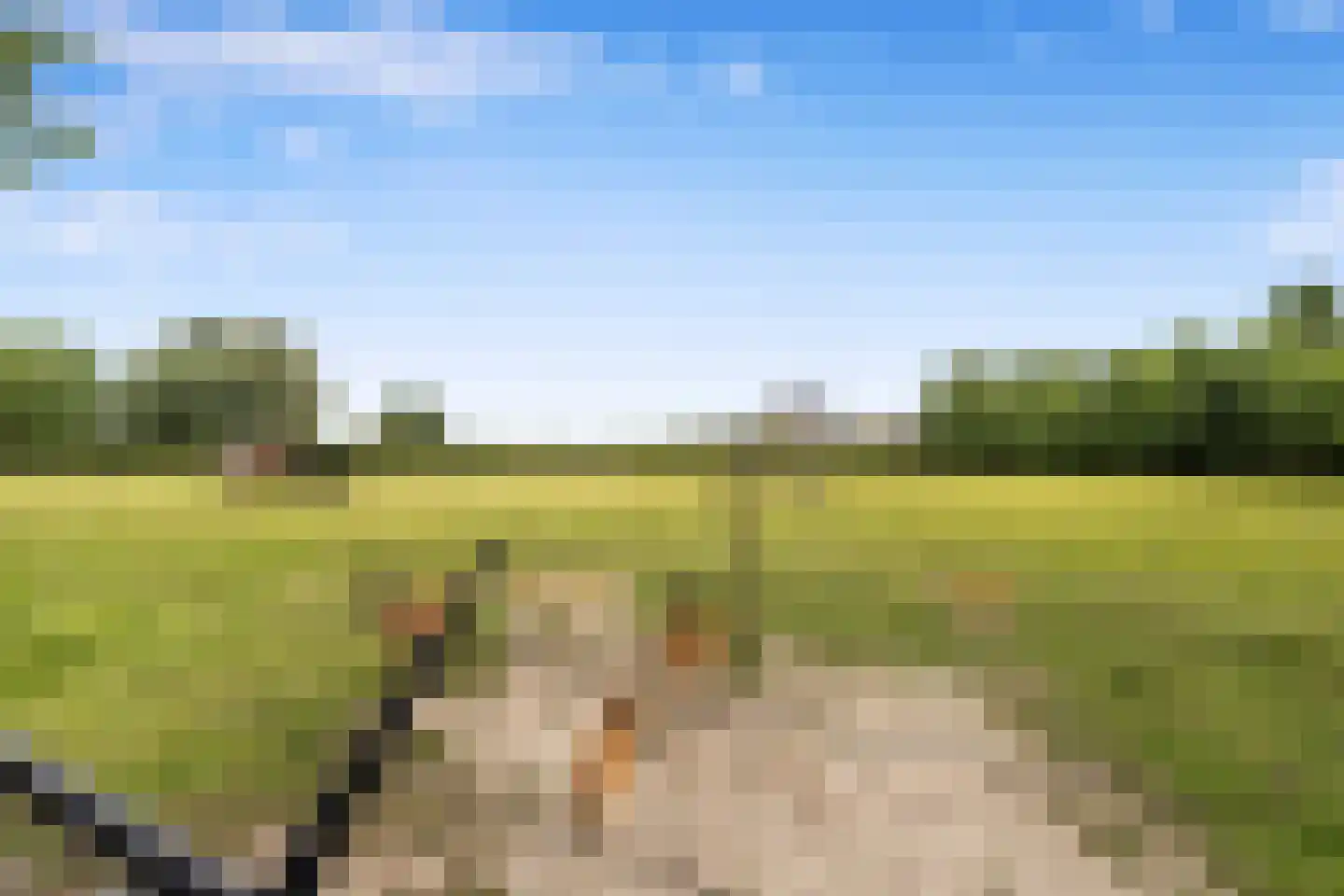 Raadsteeg 8 Rumpt thumbnail 60
