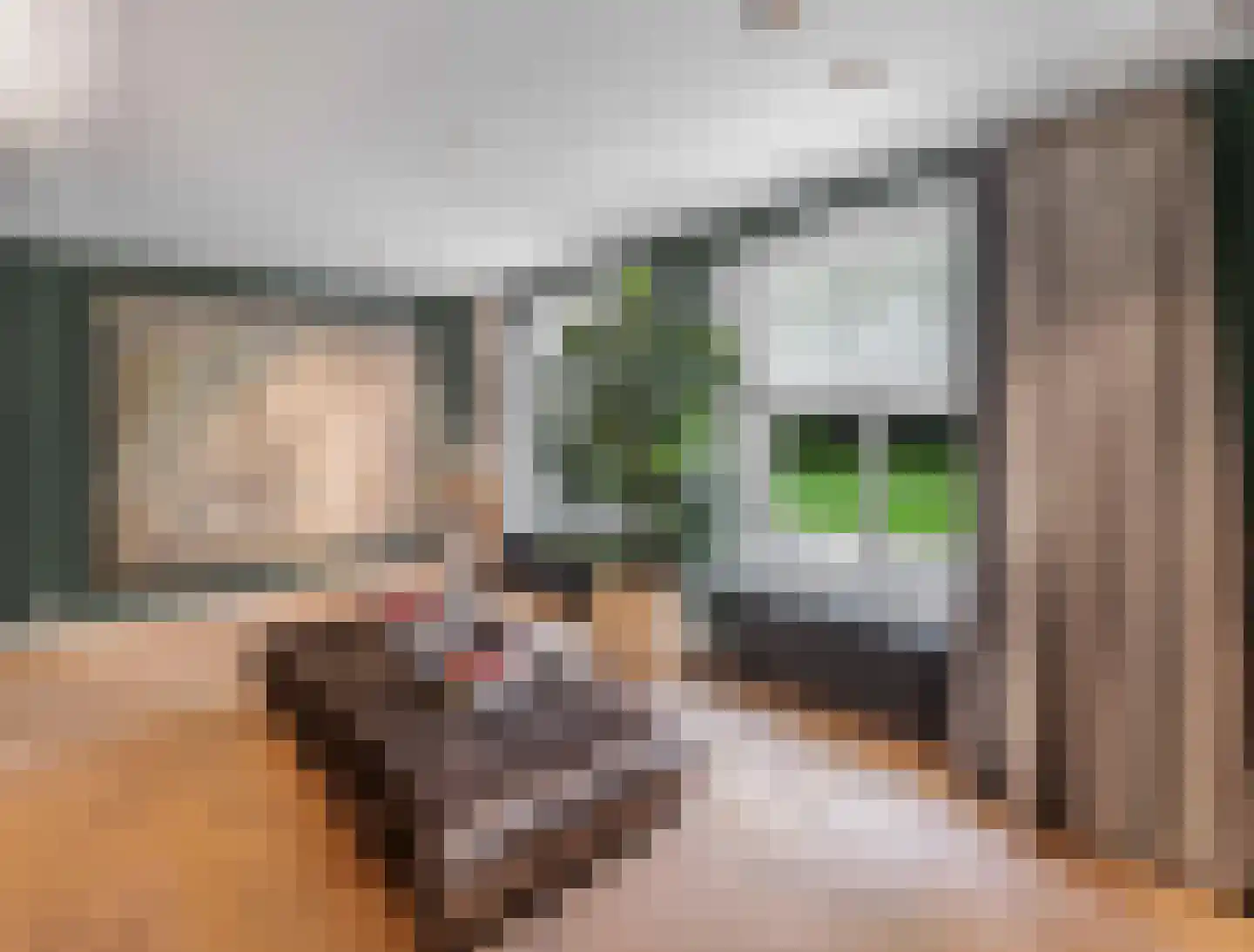 Raadsteeg 8 Rumpt thumbnail 7