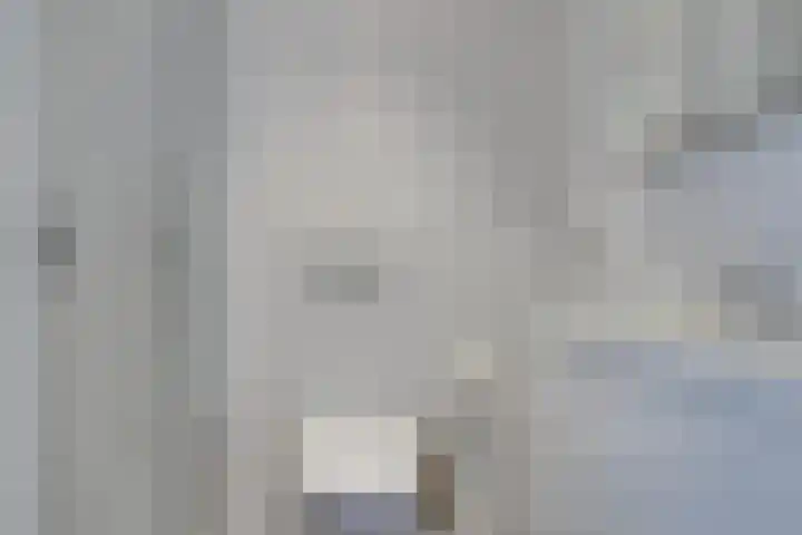 Raadwijk 3 BS Utrecht thumbnail 23