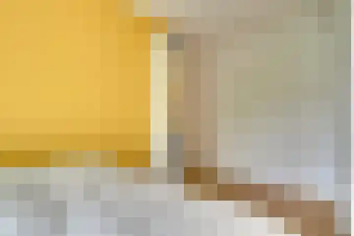 Raadwijk 3 BS Utrecht thumbnail 36