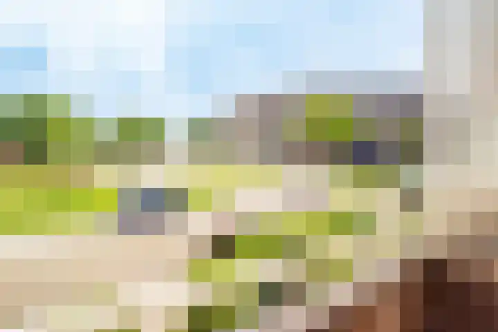 Raadwijk 3 BS Utrecht thumbnail 41