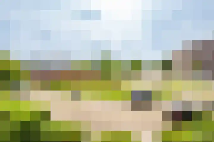 Raadwijk 3 BS Utrecht thumbnail 42