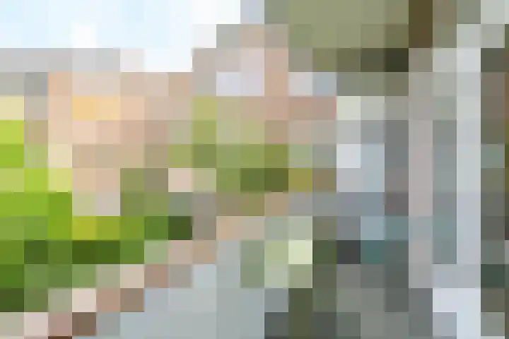 Raadwijk 3 BS Utrecht thumbnail 43