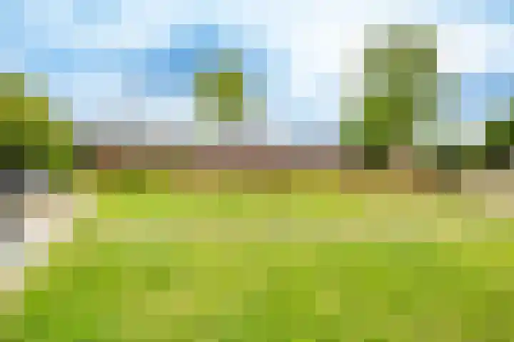Raadwijk 3 BS Utrecht thumbnail 46