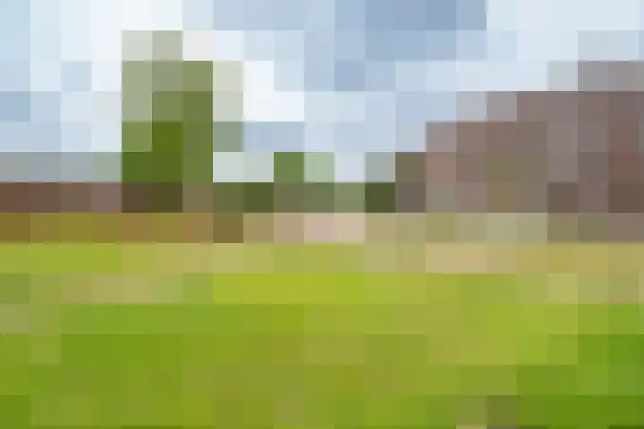 Raadwijk 3 BS Utrecht thumbnail 47