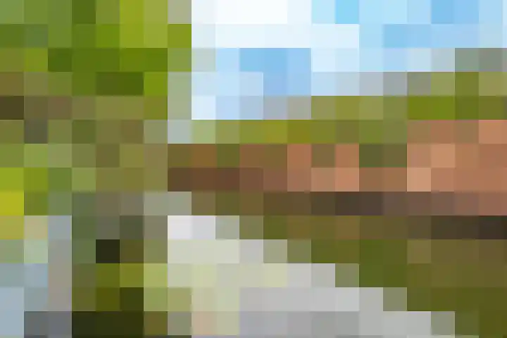 Raadwijk 3 BS Utrecht thumbnail 50