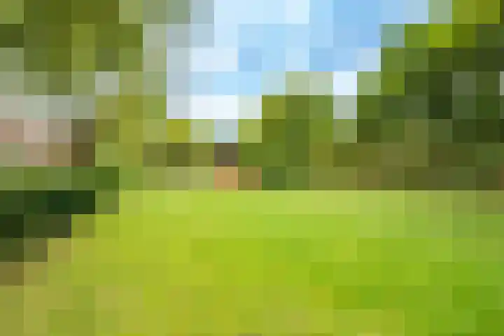 Raadwijk 3 BS Utrecht thumbnail 51