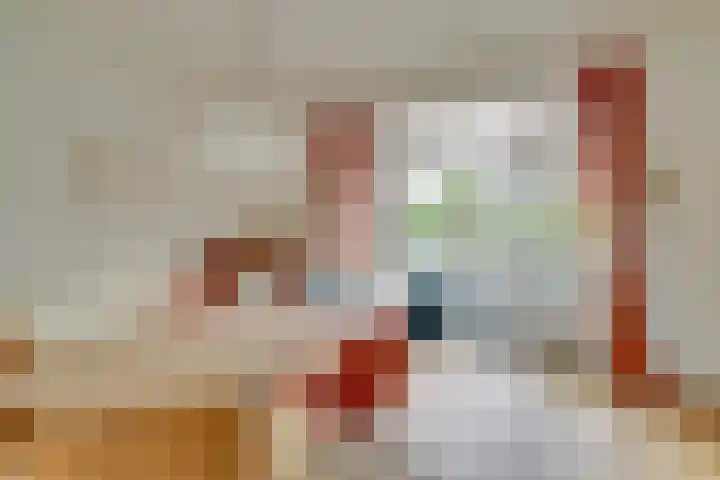 Raadwijk 3 BS Utrecht thumbnail 8