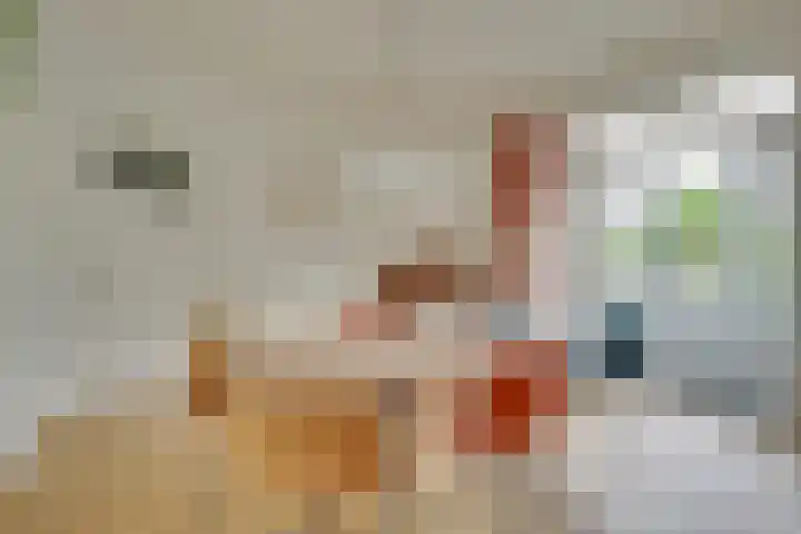 Raadwijk 3 BS Utrecht thumbnail 9