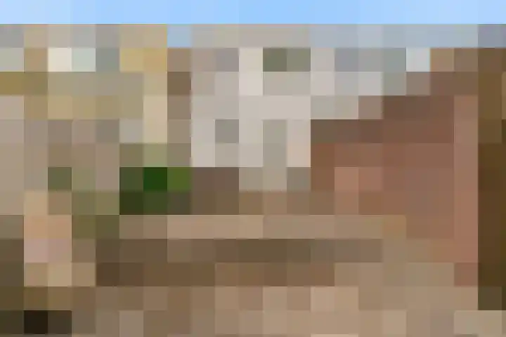 Raadwijkstraat 10 Alphen aan den Rijn thumbnail 18