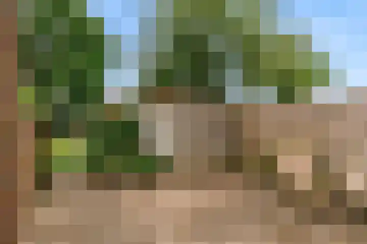 Raadwijkstraat 10 Alphen aan den Rijn thumbnail 19
