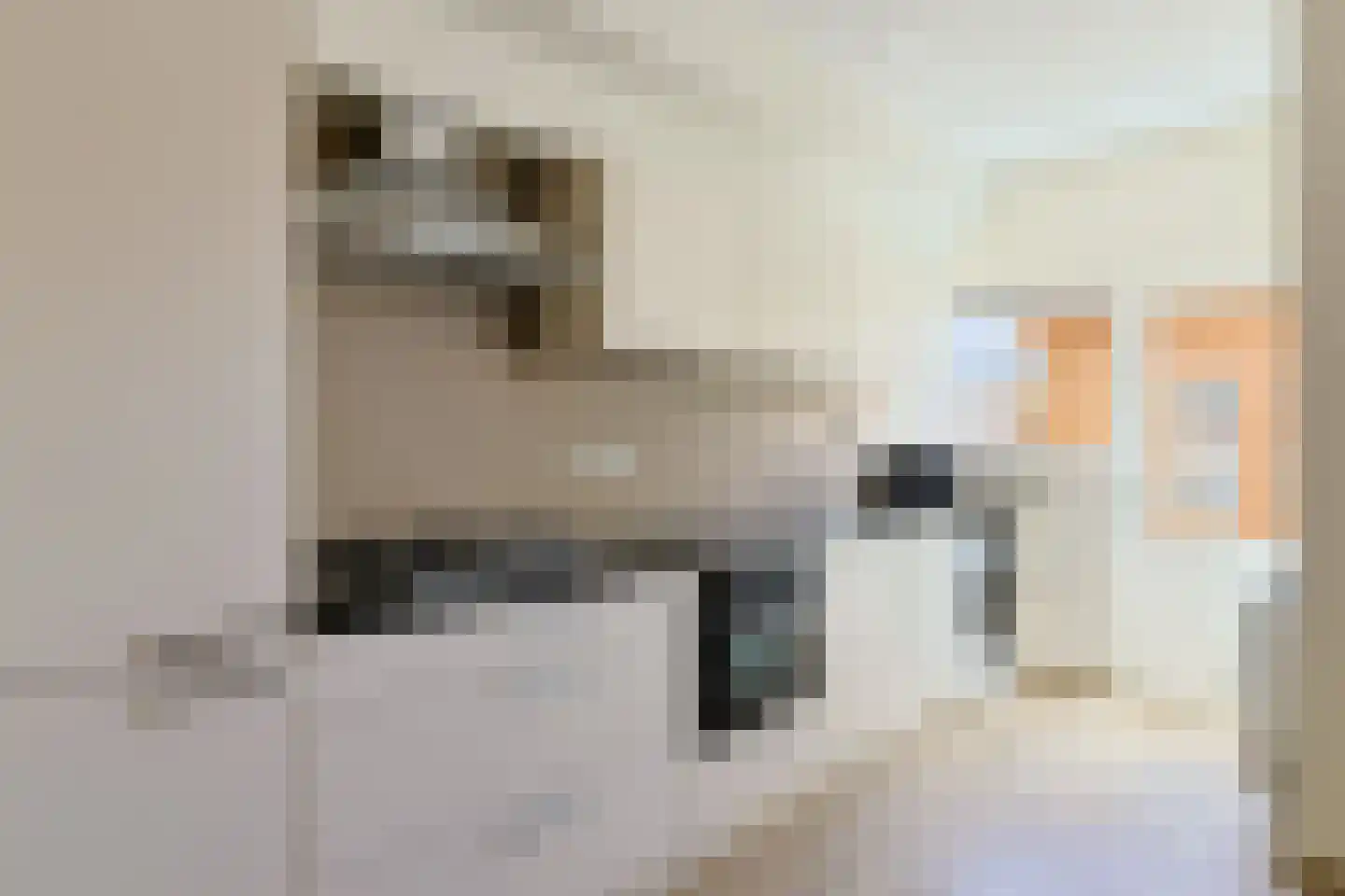 Raadwijkstraat 11 Alphen aan den Rijn thumbnail 14