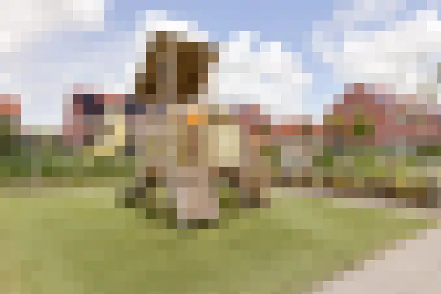 Raadwijkstraat 11 Alphen aan den Rijn thumbnail 40