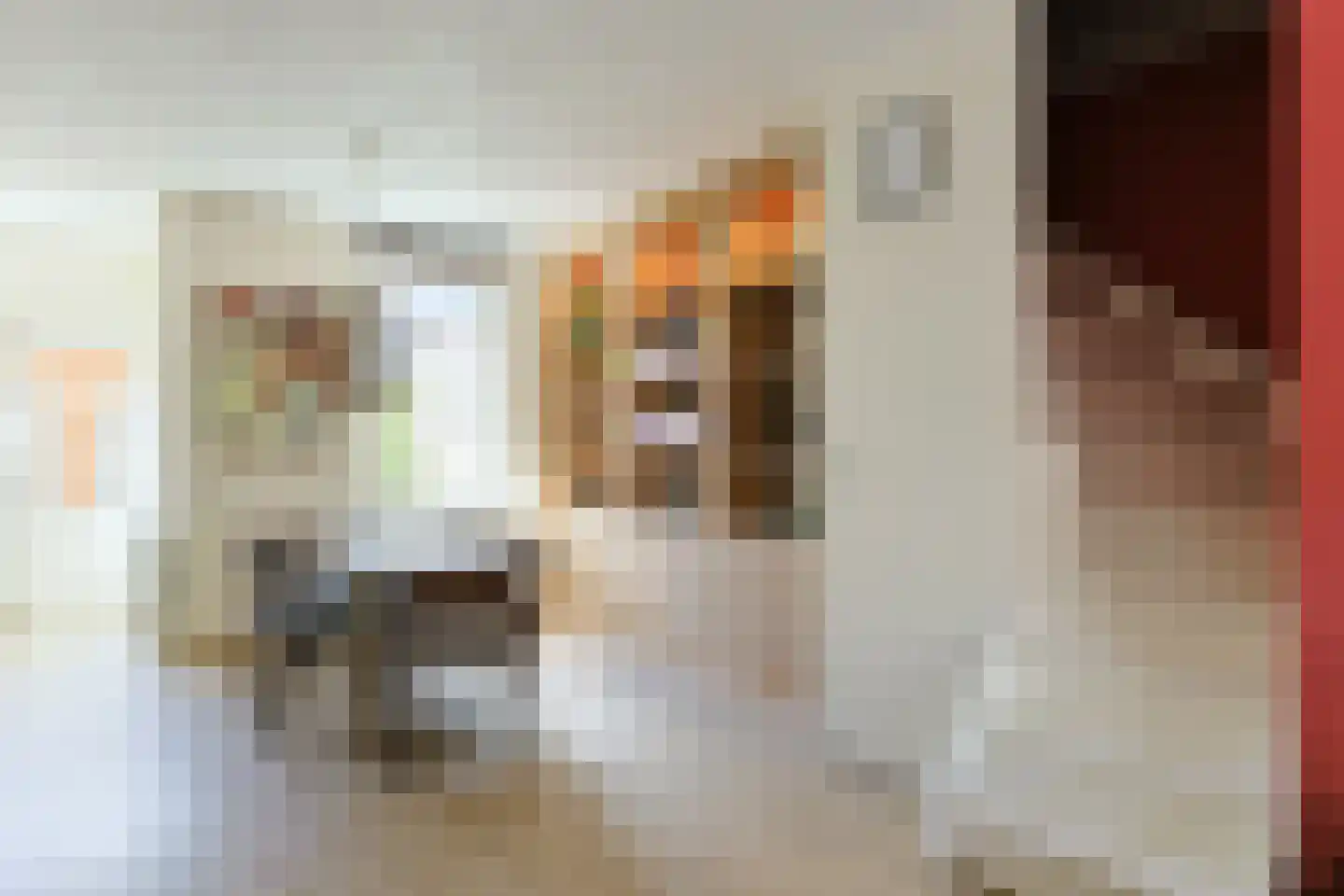 Raadwijkstraat 11 Alphen aan den Rijn thumbnail 9