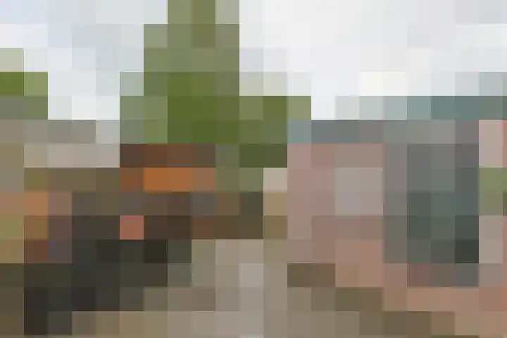 Raadwijkstraat 24 Alphen aan den Rijn thumbnail 33