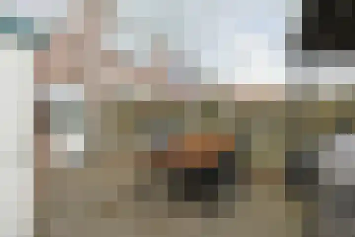 Raadwijkstraat 24 Alphen aan den Rijn thumbnail 34