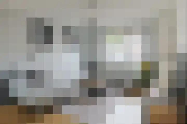 Raadwijkstraat 24 Alphen aan den Rijn thumbnail 7