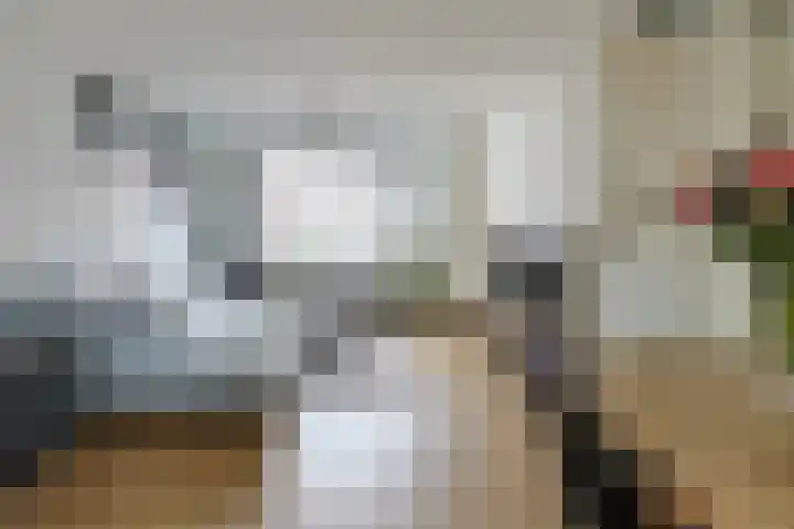 Raadwijkstraat 24 Alphen aan den Rijn thumbnail 9
