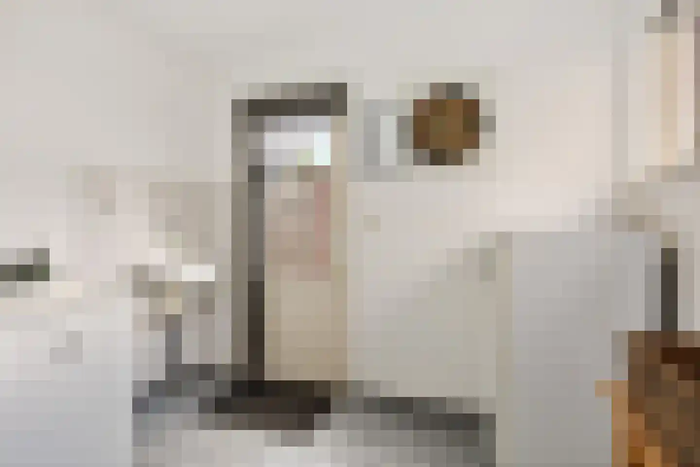 Raafstraat 21 Mill thumbnail 11