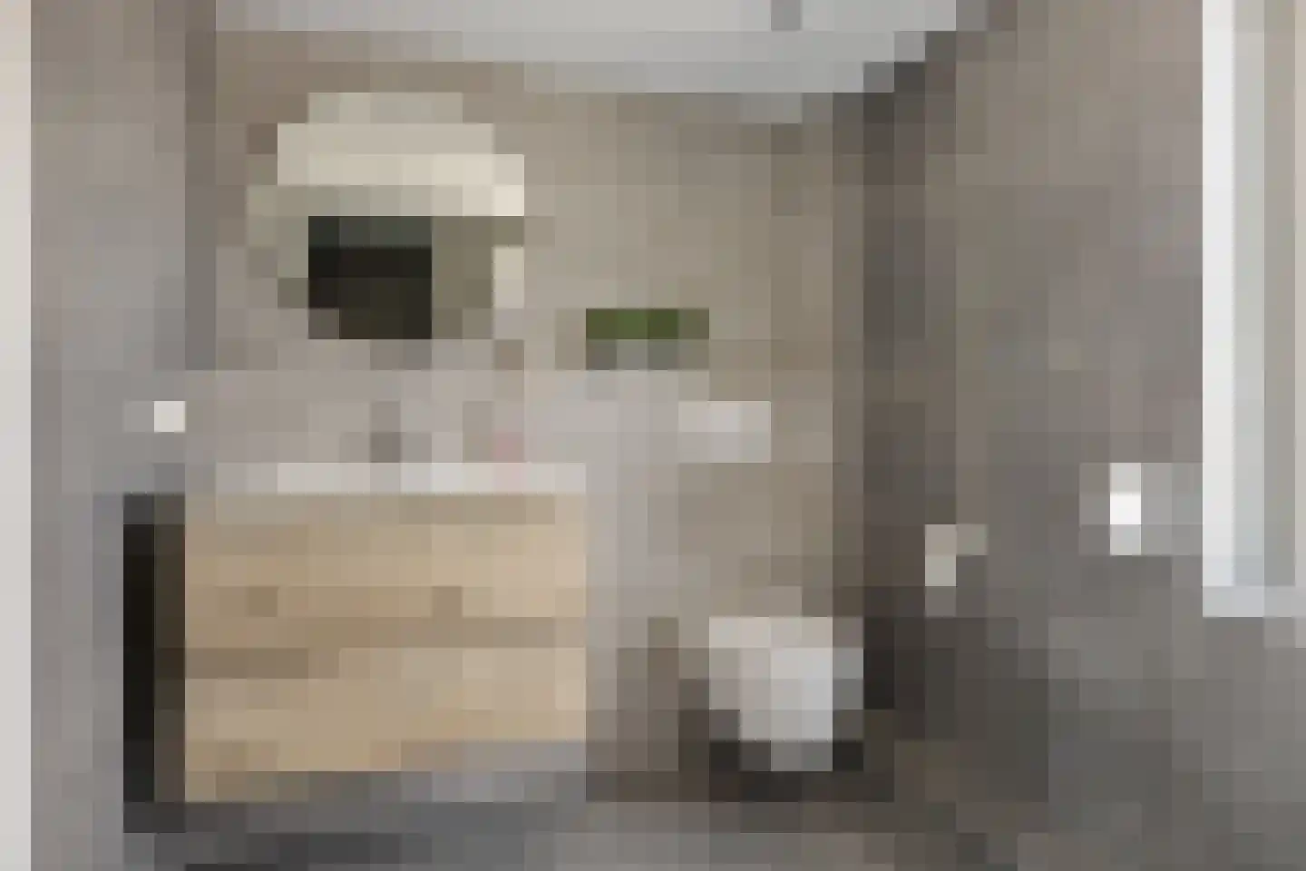 Raafstraat 21 Mill thumbnail 23