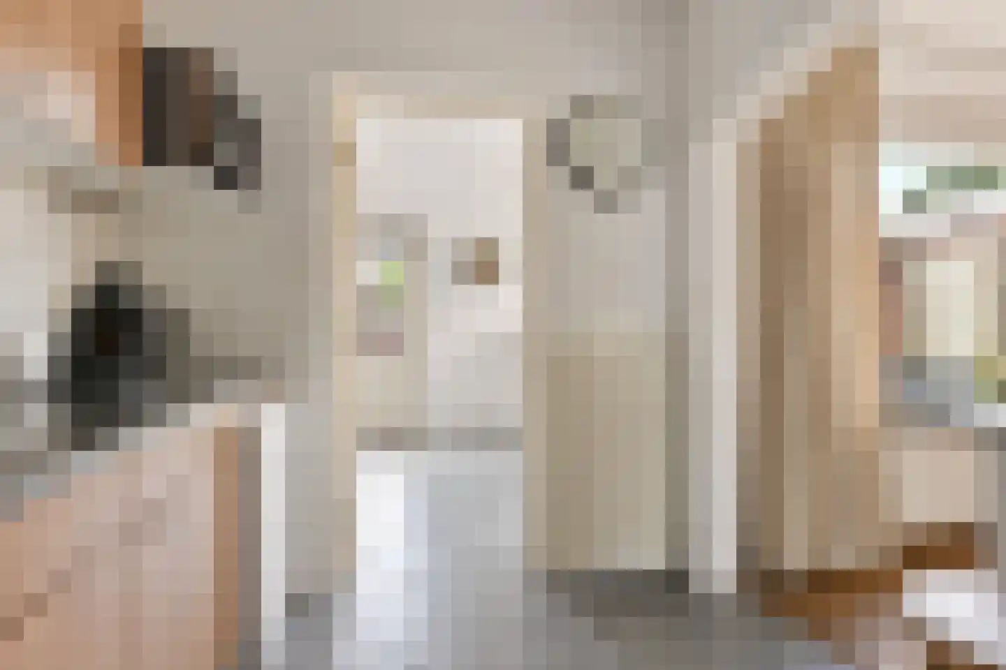 Raafstraat 21 Mill thumbnail 8