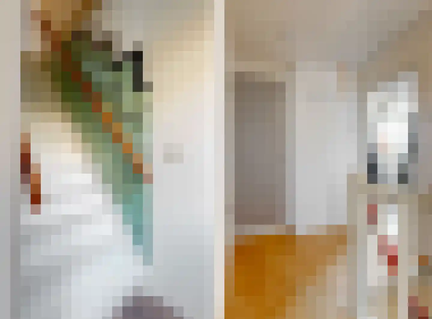 Raafstraat 43 Haarlem thumbnail 22