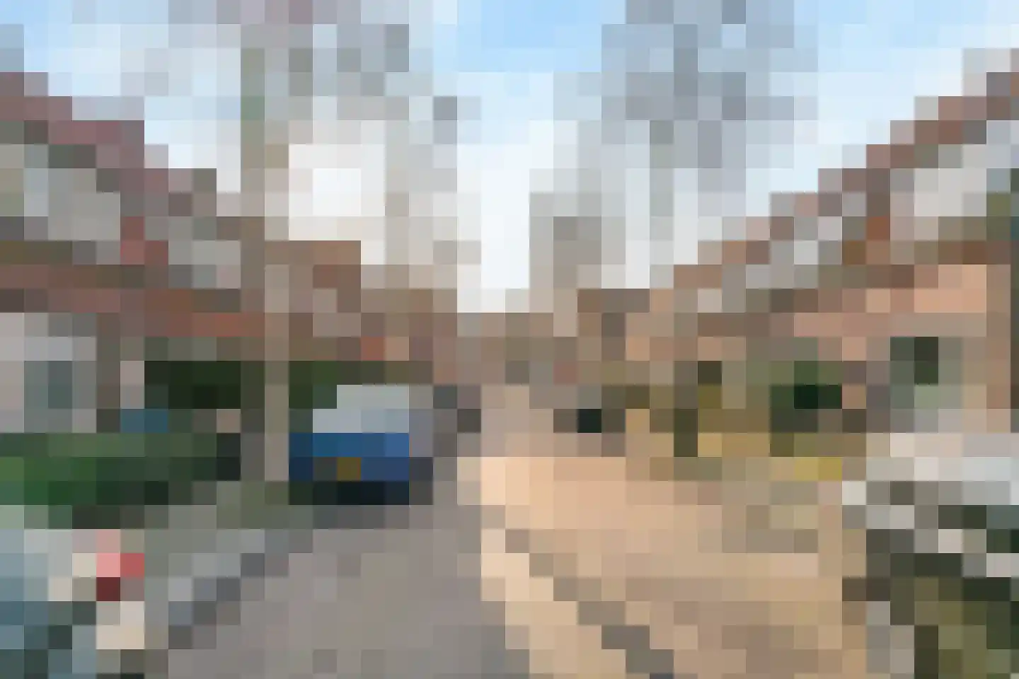 Raafstraat 43 Haarlem thumbnail 34