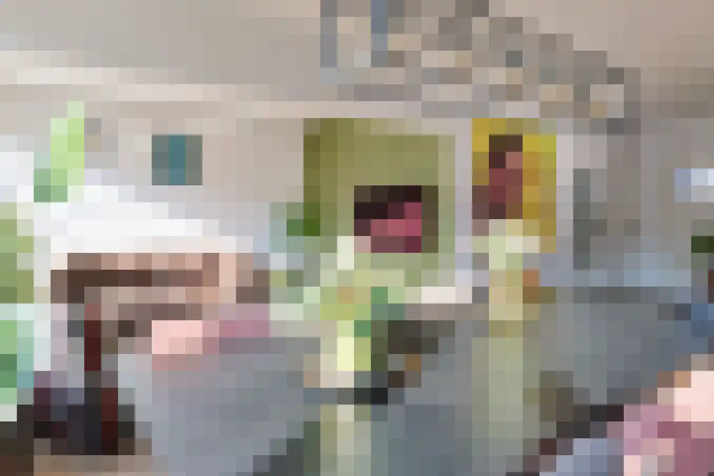 Raafstraat 46 Alphen aan den Rijn thumbnail 18