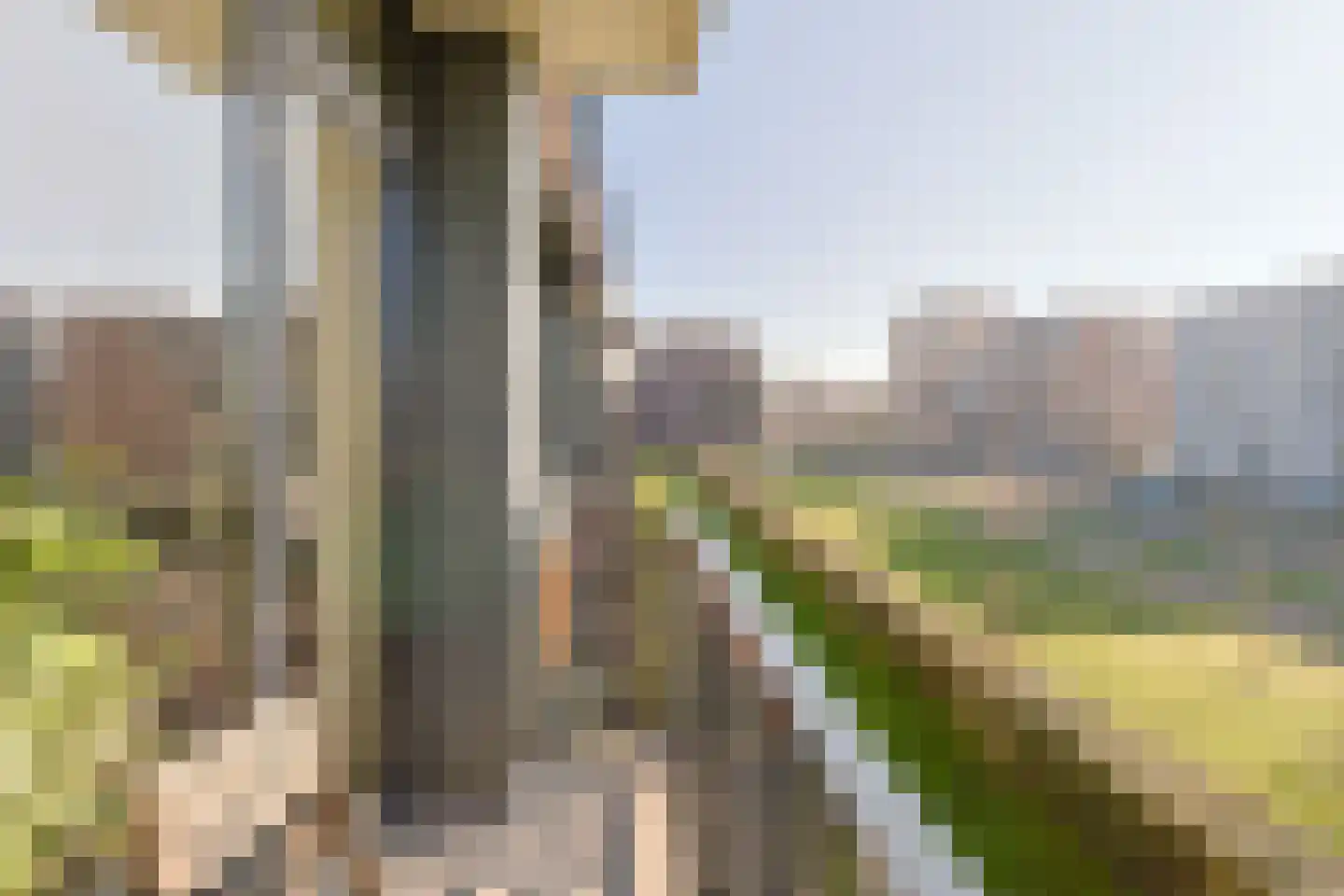 Raafstraat 46 Alphen aan den Rijn thumbnail 33