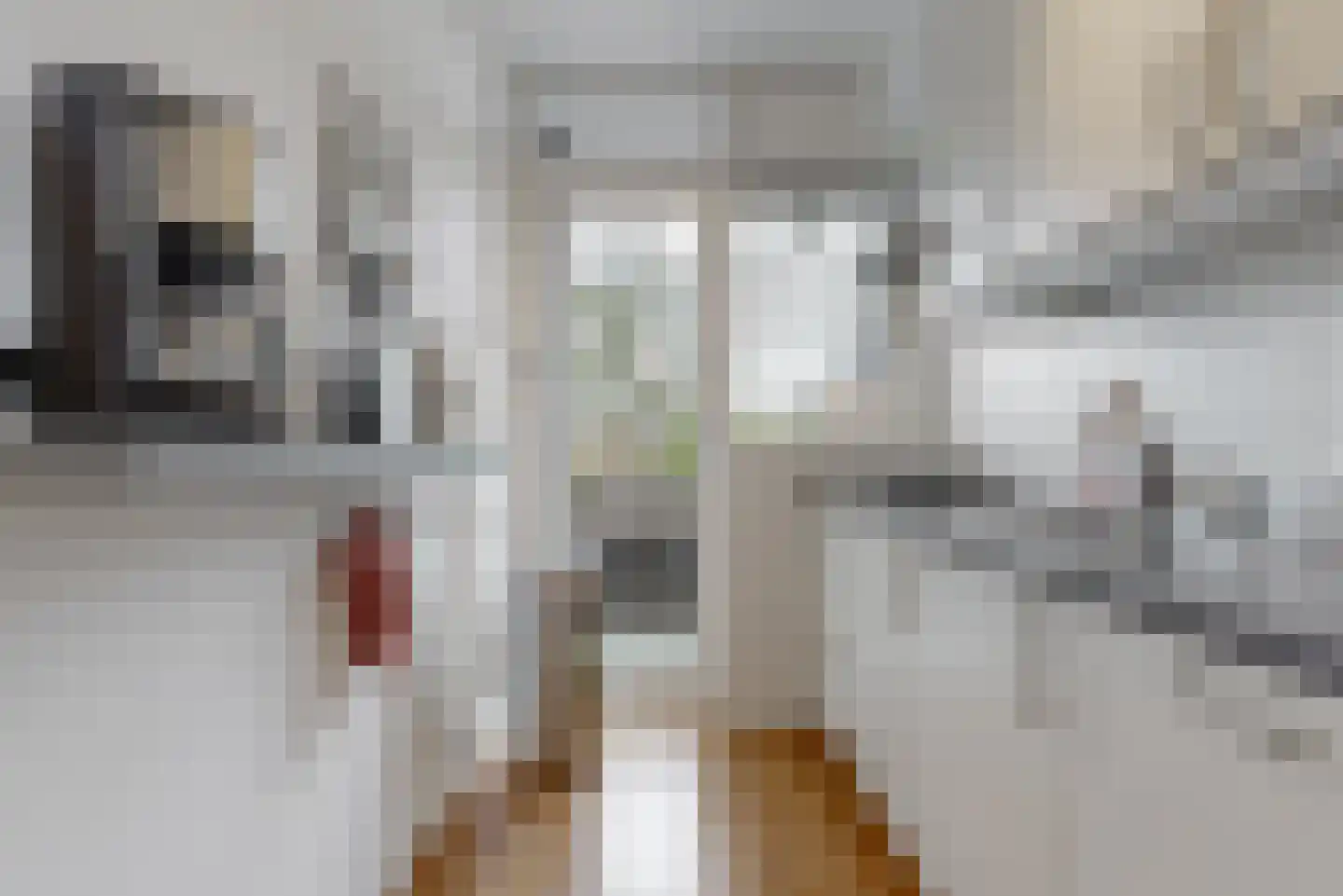 Raafstraat 60 Alphen aan den Rijn thumbnail 8