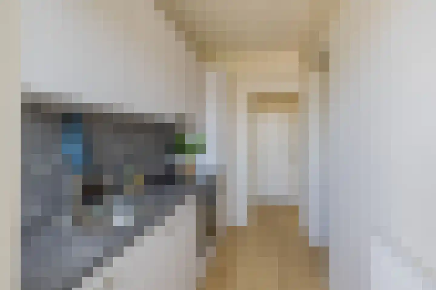 Raafstraat 70 Alphen aan den Rijn thumbnail 9