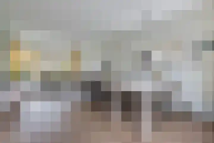 Raai 123 Drachten thumbnail 10
