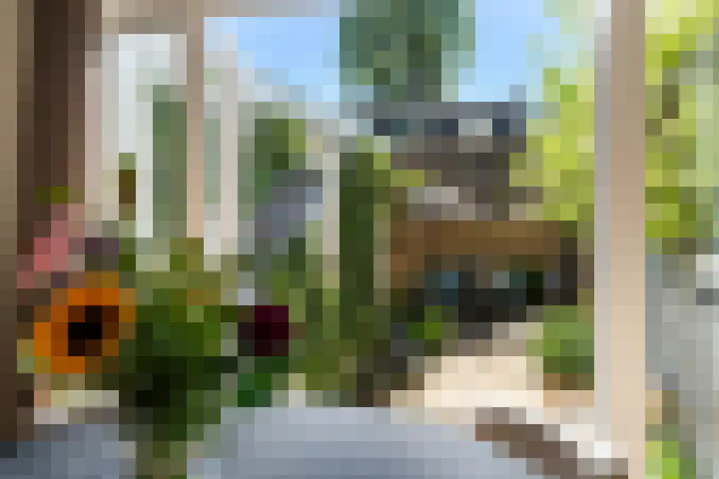Raai 123 Drachten thumbnail 14