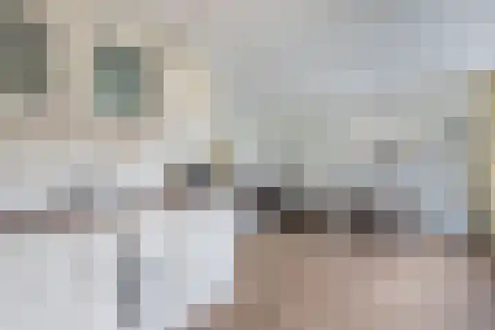 Raai 123 Drachten thumbnail 15