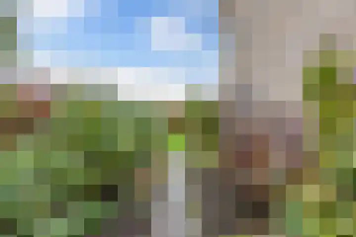 Raai 123 Drachten thumbnail 23