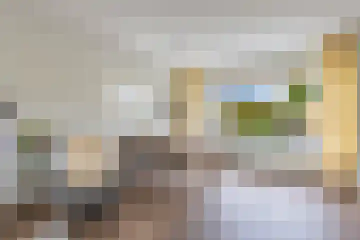 Raai 123 Drachten thumbnail 9
