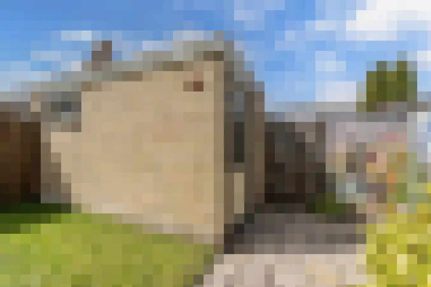 Raai 129 Drachten thumbnail 29