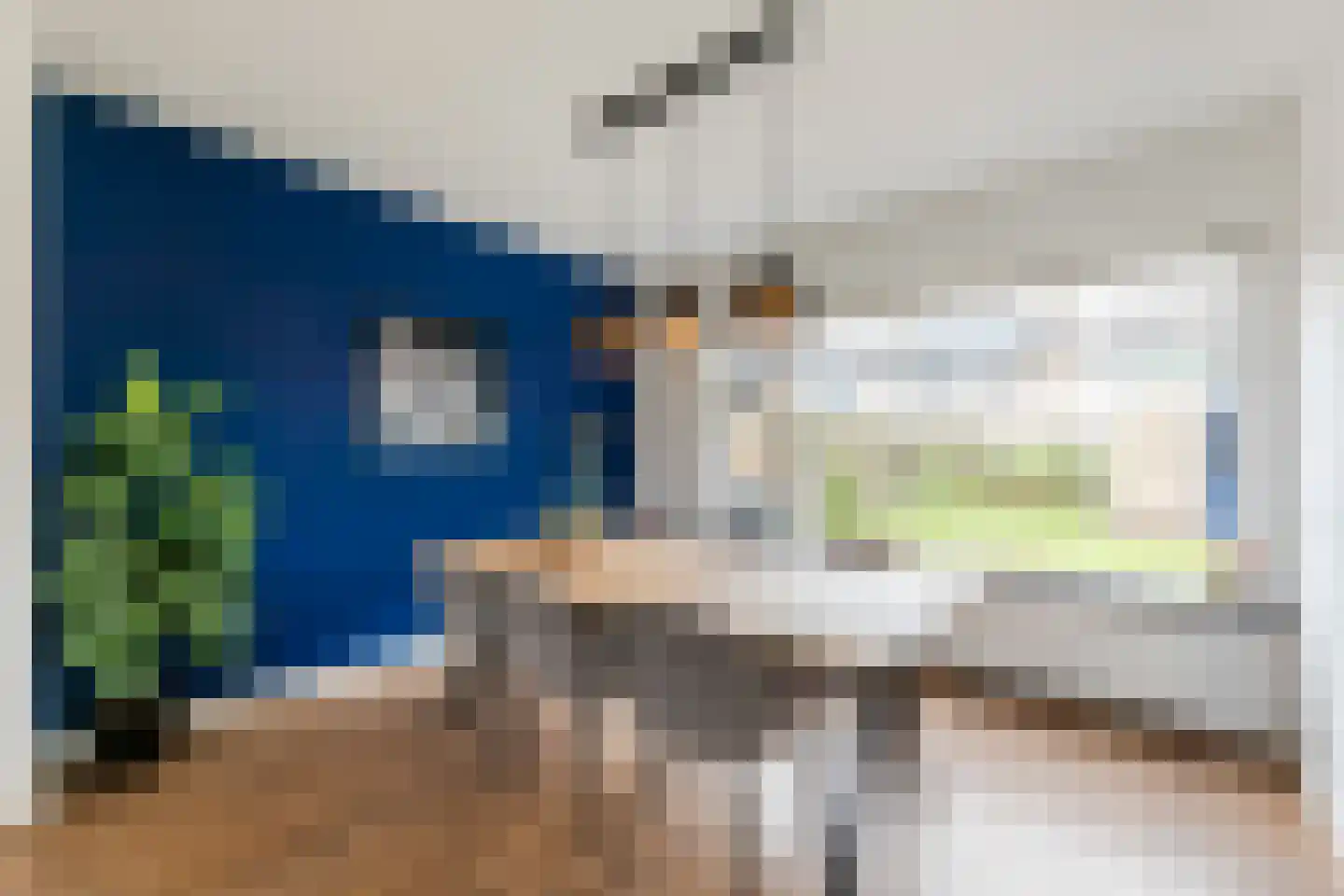 Raai 165 Drachten thumbnail 9
