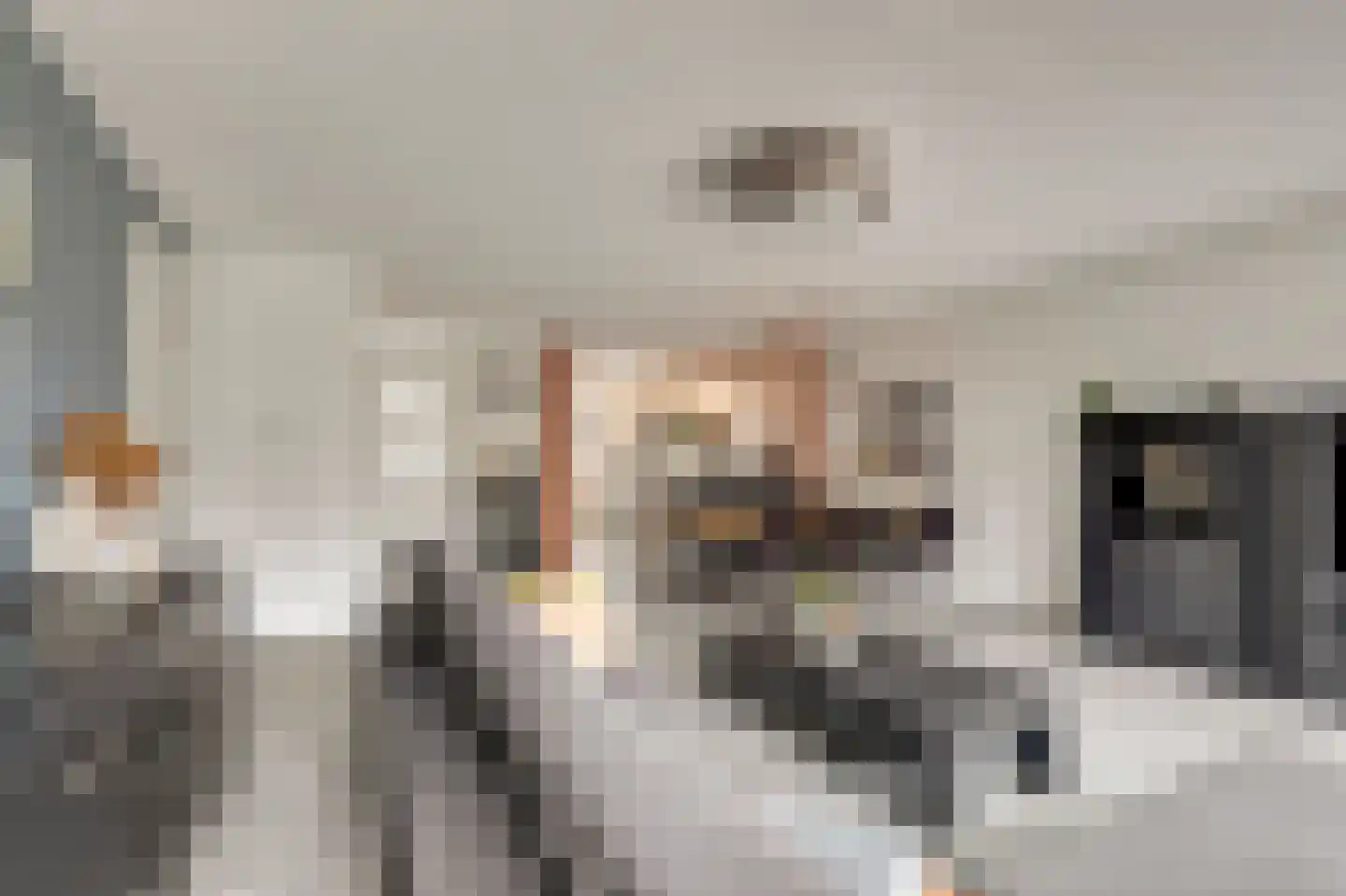 Raai 87 Hank thumbnail 17