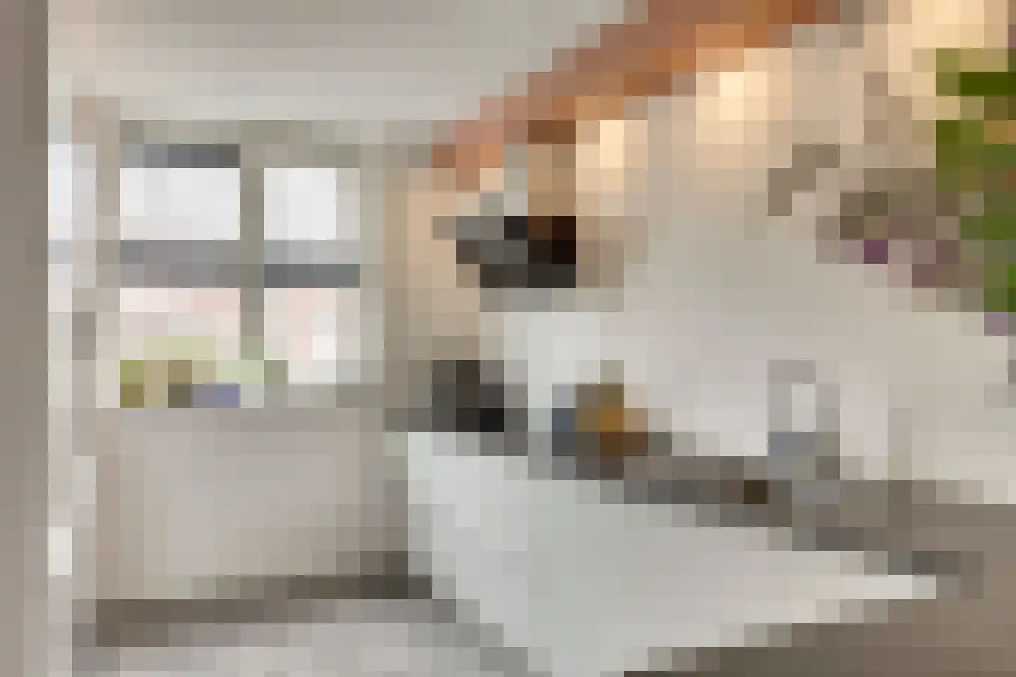 Raai 87 Hank thumbnail 20